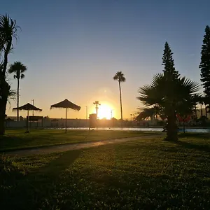 Estudio 31 Salobreña